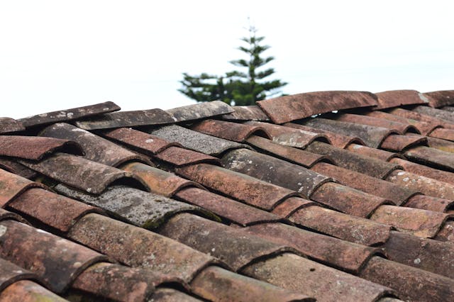 Will roof leak with missing shingles